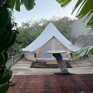 Yurt In Avocado Garden , Güímar España